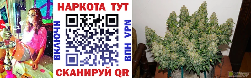 Наркотические вещества Сосновоборск Cocaine  Меф мяу мяу  АМФЕТАМИН  ГЕРОИН  A PVP  Бошки Шишки 